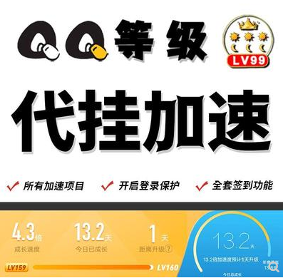 QQ等级加速代挂网的功能和作用